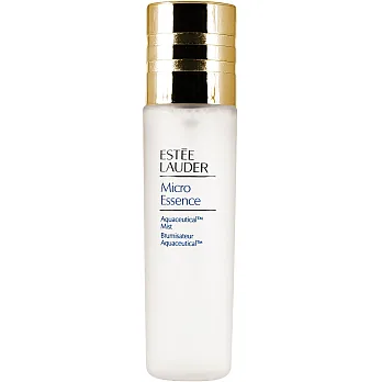 ESTEE LAUDER 雅詩蘭黛 微分子隱形噴霧(75ml)