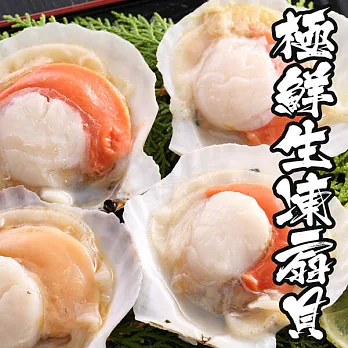 【海鮮王】極鮮生凍扇貝 *8包組( 500g±10%/包 )( 6顆/包 )