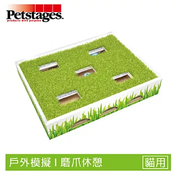 美國 Petstages 708 草地迷蹤球 磨爪子 貓抓板 特殊設計 寵物玩具