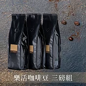 【大隱珈琲】樂活系列 嚴選咖啡豆 - 一磅裝3入