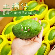 【鮮果日誌】盛夏土芒果(4.5台斤禮盒裝)
