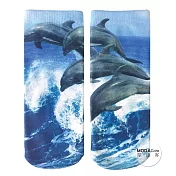 【摩達客】美國進口Living Royal海豚群 短襪腳踝襪彈性襪動物圖案襪 〔現貨〕Free SIZE