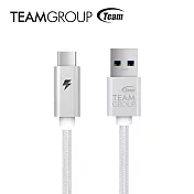 TEAM十銓科技 USB 3.1 Gen1 TypeC充電/傳輸線 TWC0A星河銀