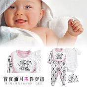 寶寶4件組 軟綿 新生兒 哈衣 包屁衣 包腳衣 圍兜 嬰兒帽 彌月 滿月禮(不含禮盒/禮袋)3M寶寶4件組