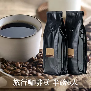 【大隱珈琲】旅行系列 嚴選咖啡豆 - 半磅裝6入