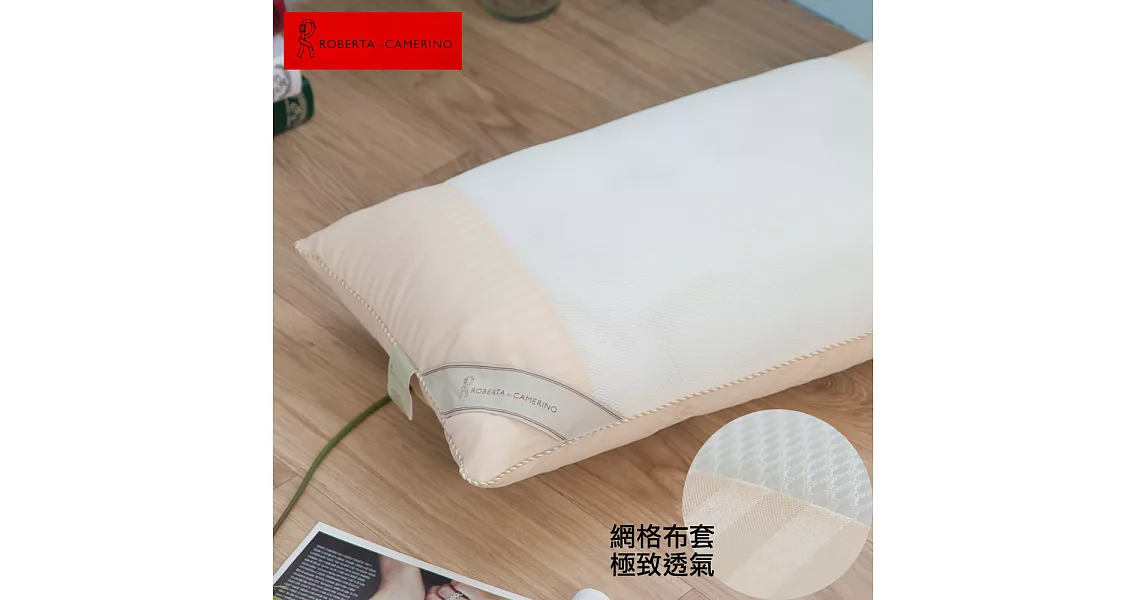 【ROBERTA DI CAMERINO諾貝達】義大利3D立體結構透氣網紗抗菌枕-2入組