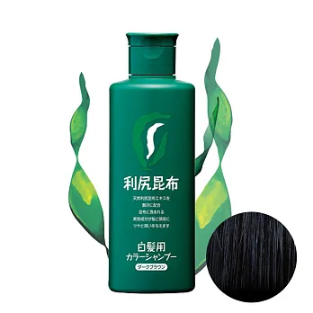 Sastty 利尻昆布白髮專用洗髮乳_黑色日本第一台灣代理 白髮剋星黑