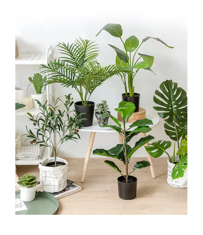 博客來 Meric Garden 北歐風格居家裝飾高仿真大型景觀植栽擺設盆栽 龜背芋l 博客來 Meric Garden 北歐風格居家裝飾高仿真大型景觀植栽擺設盆栽 龜背芋l