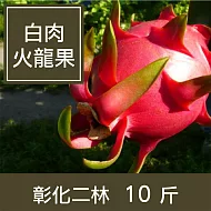 【一籃子】彰化二林【白肉火龍果】10斤