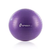 防爆健身球-65cm Spirit TCR紫色