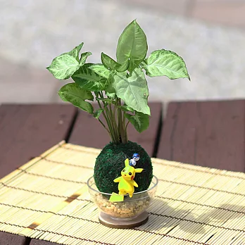 【迎光】萌寵卡通綠苔球-皮卡丘