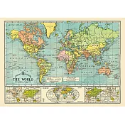 美國 Cavallini & Co. wrap 包裝紙/海報 世界地圖6