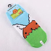 Kapibarasan 水豚君田園系列襪子。小