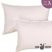 【遊遍天下】台灣製舒眠羽毛絨枕(二入)白色