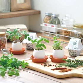 博客來 環保eco包裝 聖新陶芸eco Eggling 植物栽培蛋 薄荷 博客來 環保eco包裝 聖新陶芸eco Eggling 植物栽培蛋 薄荷