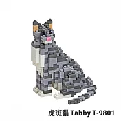【Tico 微型積木】T-9801 虎斑貓 Tabby
