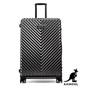 DF travel - 英國袋鼠奢華V款立體髮絲紋鋁框20吋行李箱-共2色深灰