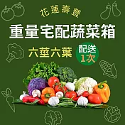 【鮮食優多】花蓮壽豐花蓮有機蔬菜箱『健康宅配』組合配送一次