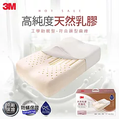 3M 天然乳膠防蹣枕─標準透氣型