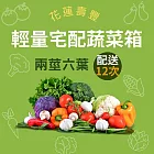 【鮮食優多】花蓮壽豐   花蓮有機蔬菜箱『輕量套餐』-2根莖+6葉菜(配送十二次)