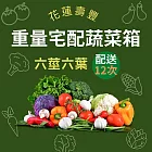 【鮮食優多】花蓮有機蔬菜箱『健康宅配』組合配送12次