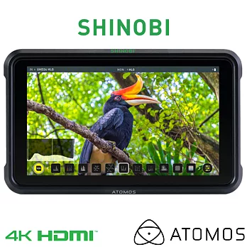 澳洲 ATOMOS Shinobi 5吋高清監視記錄器