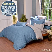 義大利La Belle《卡洛特》特大純棉防蹣抗菌吸濕排汗兩用被床包組