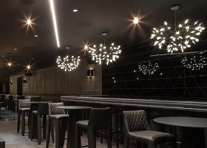 博客來 Moooi Heracleum Ii 花火枝葉吊燈 鎳 大 博客來 Moooi Heracleum Ii 花火枝葉吊燈 鎳 大