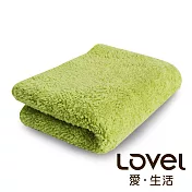 Lovel 7倍強效吸水抗菌超細纖維毛巾-共9色檸檬綠