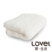 Lovel 7倍強效吸水抗菌超細纖維毛巾-共9色棉花白