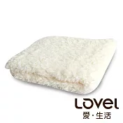 Lovel 7倍強效吸水抗菌超細纖維方巾-共9色棉花白