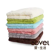 Lovel 7倍強效吸水抗菌超細纖維小浴巾6入組(共9色)芭比粉