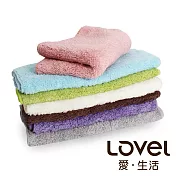 Lovel 7倍強效吸水抗菌超細纖維毛巾6入組(共9色)其他-顏色備註