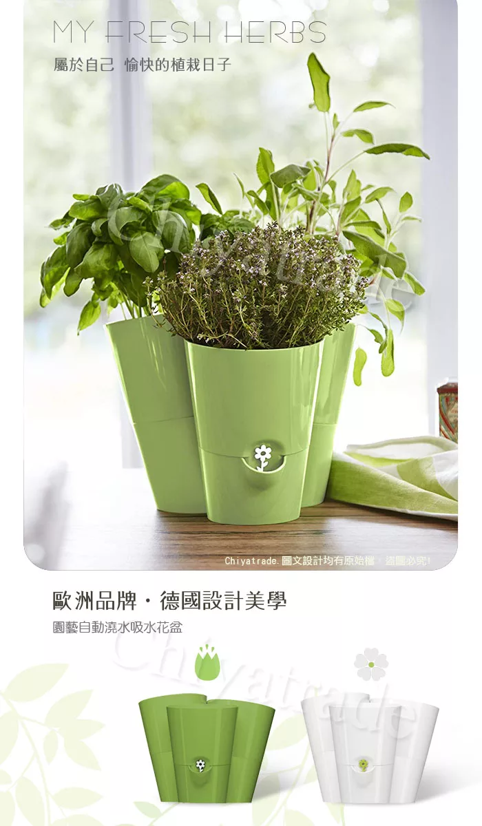 博客來 德國emsa 三合一園藝自動澆水吸水器美化花盆植栽盆栽浮標缺水提示 德國設計美學 綠色 博客來 德國emsa 三合一園藝自動澆水吸水器美化花盆植栽盆栽浮標缺水提示 德國設計美學 綠色