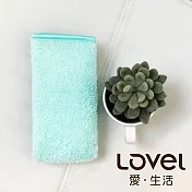 Lovel 3M頂極輕柔棉超細纖維抗菌方巾貝殼綠
