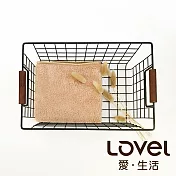 Lovel 3M頂極輕柔棉超細纖維抗菌毛巾榛果棕