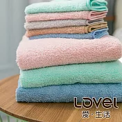 Lovel 3M頂極輕柔棉超細纖維二件組(毛巾+方巾)榛果棕二件組