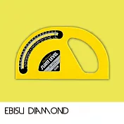 【日本EBISU】Pro-work系列-氣泡式角度儀