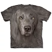 【摩達客】美國進口The Mountain威瑪獵犬臉 純棉環保短袖T恤S灰色
