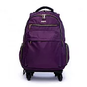 DF Queenin流行 - 商務洽公18吋旅行多功能防潑水拉桿登機行李包-共3色紫色