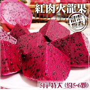 預購【家購網嚴選】屏東紅肉火龍果 5斤/盒 特大(約5-6顆)