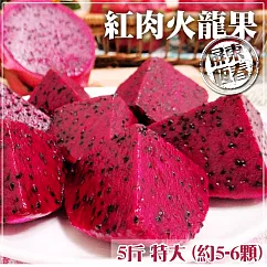 預購【家購網嚴選】屏東紅肉火龍果 5斤/盒 特大(約5─6顆)