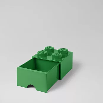 丹麥LEGO 放大版樂高抽屜4凸(經典綠)