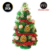 台灣製迷你1呎/1尺(30cm)裝飾綠色聖誕樹(木質雪花系)(免組裝/本島免運費)金色