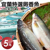 【優鮮配】宜蘭特選卵香魚5尾(200g/尾)-任選