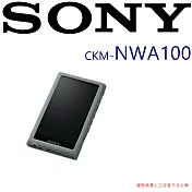 SONY CKM-NWA100 NW-A100系列專屬多彩高質感便攜保護套 5色灰綠
