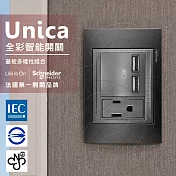 法國Schneider Unica Top雙USB插座/單插座(附接地極)_金屬灰外框