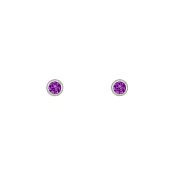 [SW 歐洲百年品牌訂製水晶]Snatch X MINIMENT迷你們 幸運水晶純鋼耳環 - 米絲翠紫水晶 (二月幸運色)