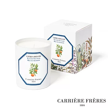 CARRIERE FRERES 法國頂級天然香氛蠟燭 橙花 Orange Blossom 185g