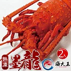 【海大王】熟凍墨龍*2入組(400g±10%以上/隻)
